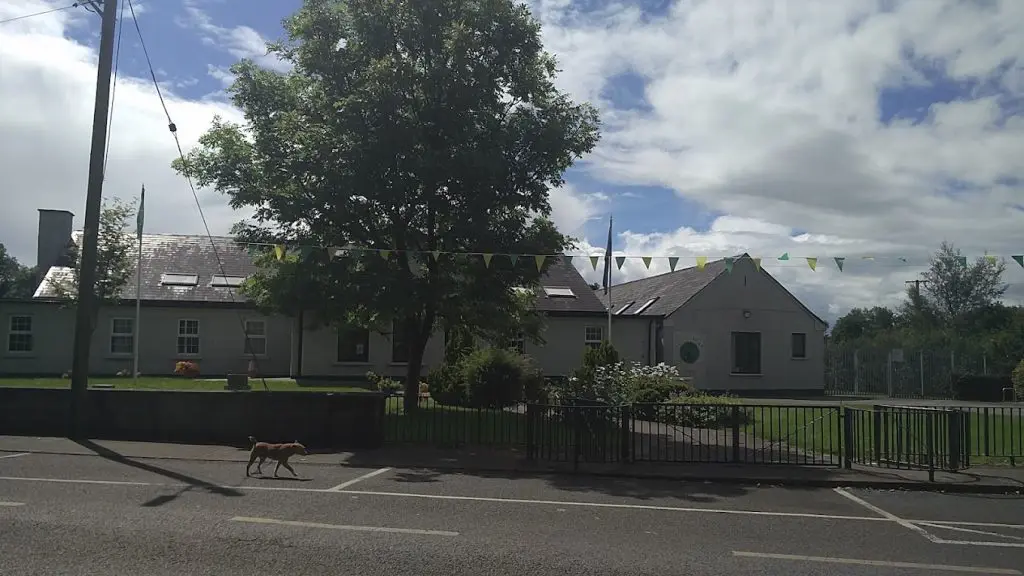 Donard National School