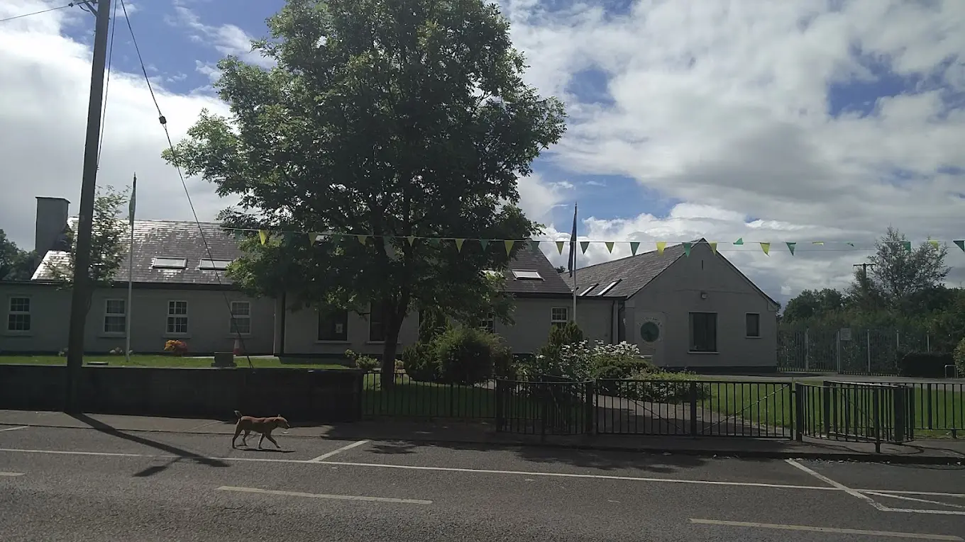 Reducing School Energy Bills with Solar PV: Donard National School’s Renewable Energy Journey