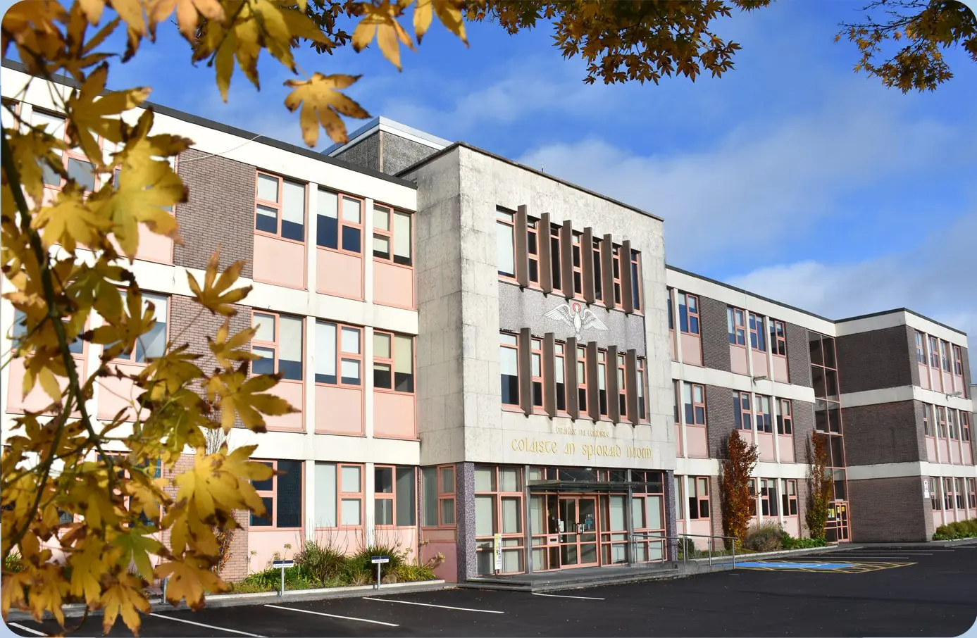 From Classrooms to Clean Energy: Bishoptown Coláiste an Spioraid Naoimh’s 11kWp Solar Transformation